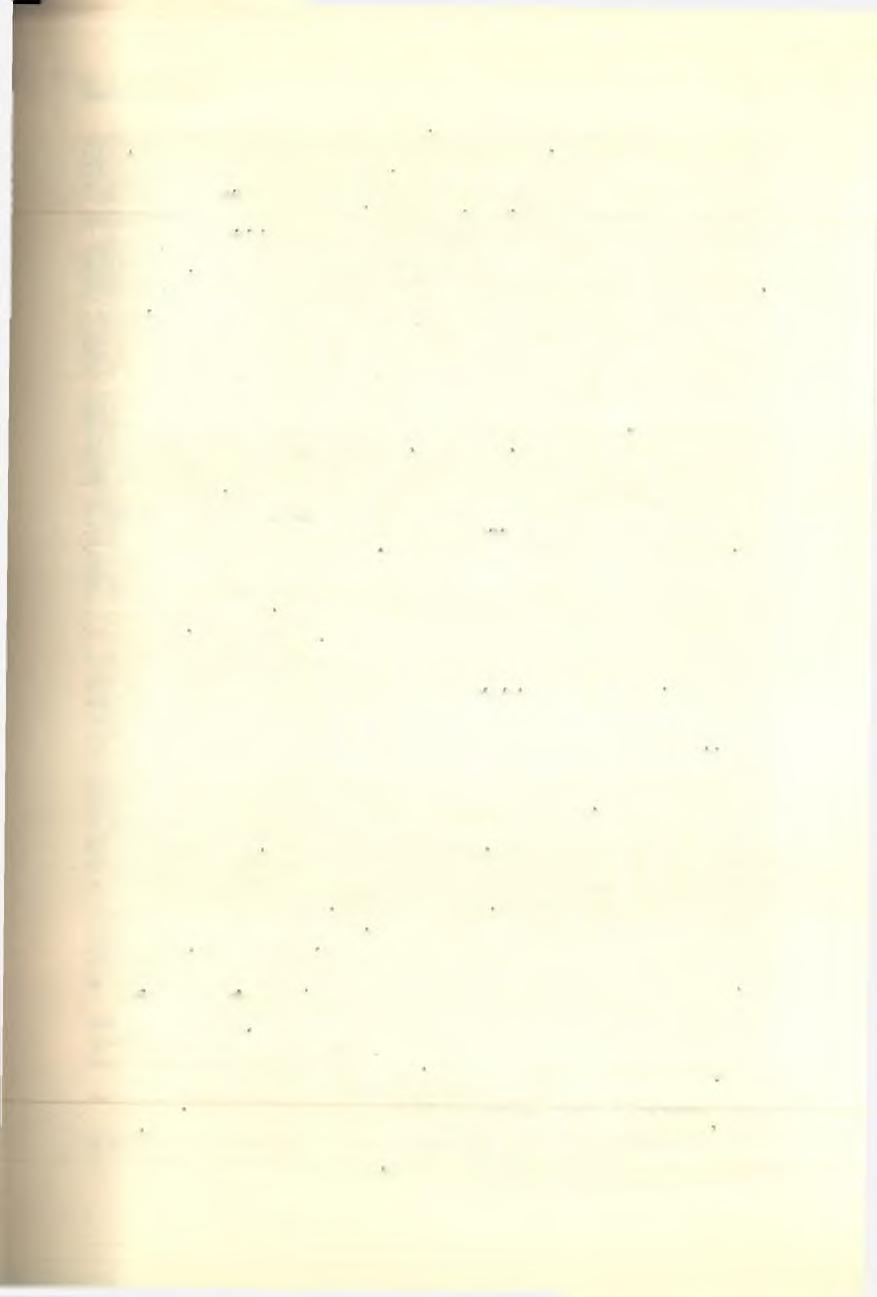 ΒΥΖΑΝΤΙΑΚΑ 171 220-221, 221-222, 238-239).