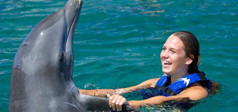 DOLPHIN EXPLORER - AQUATIC ANIMALS ADVENTURE PARK ΠΑΙΧΝΙΔΙ ΜΕ ΤΑ ΔΕΛΦΙΝΙΑ Έναρξη: 08:30 Διάρκεια: 4 ώρες Ελάτε στο Dolphin Explorer και εισαχθείτε σε ένα πανέμορφο και μοναδικό τροπικό περιβάλλον,