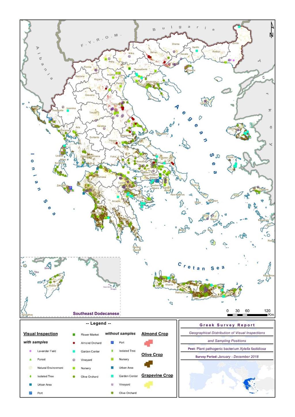 ΔΙΑΓΝΩΣΤΙΚΗ ΕΡΓΑΣΙΑ ΣΤΟ ΜΦΙ ΕΠΙΣΚΟΠΗΣΕΙΣ Από τα αποτελέσματα των προαναφερόμενων εργαστηριακών