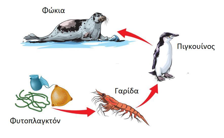 Ερώτηση 2 α)να αντιστοιχίσετε τους όρους της Στήλης Α με τις προτάσεις της Στήλης Β (5Χ0.5=2.5μ)μ. Στήλη Α Στήλη Β Αντιστοίχιση Α. Οικοσύστημα 1.