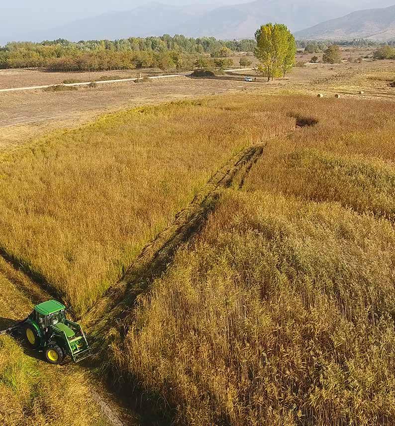 ΘΕΜΑΤΙΚΈΣ ΕΝΌΤΗΤΕΣ Κατά τη διάρκεια του Θερινού Σχολείου θα καλυφθούν οι παρακάτω θεματικές ενότητες: Διαχείριση υγροτόπων και υδάτων, λαμβάνοντας υπόψη τις επιπτώσεις της κλιματικής αλλαγής στο