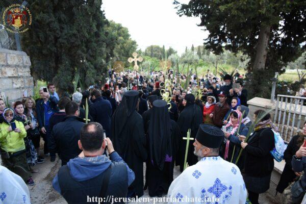 Ερμηνεία της εικόνας Η εικόνα της Βαϊοφόρου περιγράφει έντεχνα το ιστορικά γεγονός της θριαμβευτικής εισόδου του Χριστού στα Ιεροσόλυμα, αποκαλύπτοντας συγχρόνως και το βαθύτερο νόημα των συμβάντων.