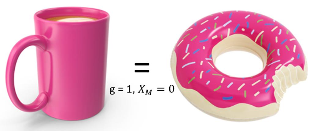 Berry-ολογία 74 Tο "Χαρακτηριστικό Euler" X M γένος g: είναι ένας ακέραιος που συνδέεται άμεσα με το X M = 2(1 g) (2.2.2) το οποίο μετρά τον αριθμό των τρυπών μιας πολλαπλότητας.