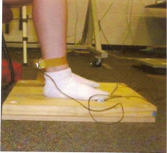 Stability systems (Biodex etc)