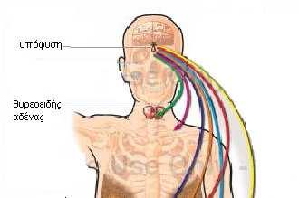 Functions of