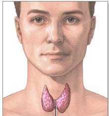 Παθήσεις θυρεοειδή αδένα Υπερθυρεοειδισµός Υπερέκκριση ορµονών (T3,T4) Αυτοάνοσος ή νόσος Graves Toξικό αδένωµα Θυρεοειδίτιδα
