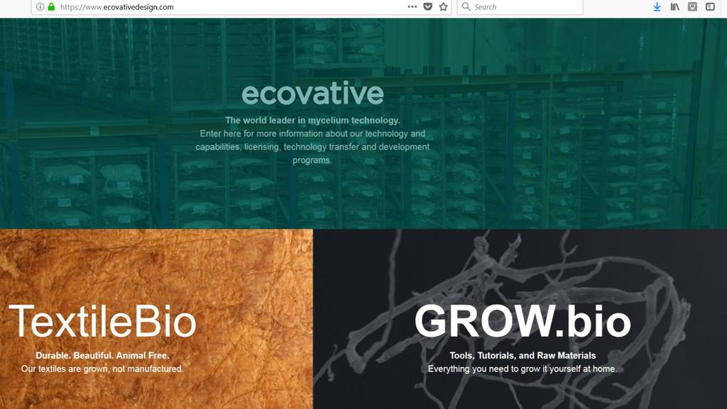 Το παράδειγμα της ecovative Είναι μία αμερικάνικη εταιρεία η οποία παράγει υλικά συσκευασίας χρησιμοποιώντας μανιτάρια και γεωργικά απόβλητα.