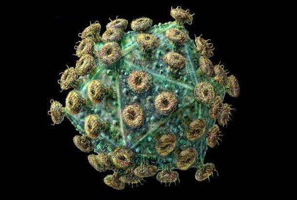 ΕΙΣΑΓΩΓΗ Το AIDS (Σύνδρομο Επίκτητης Ανοσολογικής Ανεπάρκειας) είναι μια ανίατη λοιμώδης νόσος από τον ιό HIV (Human Immunodeficiency Virus) ο οποίος προσβάλλει το ανοσοποιητικό σύστημα του ανθρώπου,