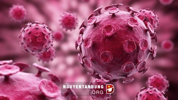 HIVBr18 Vacina contra Aids de grupo da USP é a primeira a mirar trechos fixos do HIV Την ύπαρξη ενός νέου ελπιδοφόρου εμβολίου παρουσίασε η Ντόιτσε Βέλλε: < μείναμε έκπληκτοι μπροστά στα αποτελέσματα
