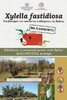 Τι μπορώ να κάνω ως πολίτης για την πρόληψη της εισαγωγής του Xylella fastidiosa; ΝΑ ΕΝΗΜΕΡΩΘΩ Να ενημερώνω τις εθνικές εποπτικές αρχές άμεσα για κάθε ύποπτο κρούσμα του οργανισμού Xylella fastidiosa
