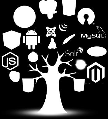 Λογισμικό Ανοικτού Κώδικα (Open Source Software) είναι η κατηγορία λογισμικού του οποίου ο πηγαίος κώδικας είναι διαθέσιμος σε όποιον ενδιαφέρεται για αυτόν.