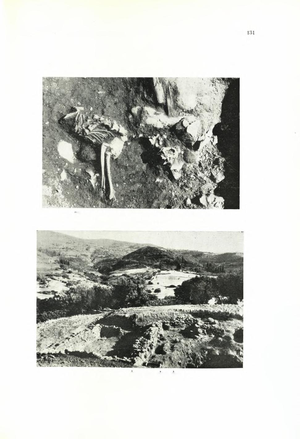 ΠΑΕ 1961 24 αναςκαφαι πυλου ΠίΝΑΞ