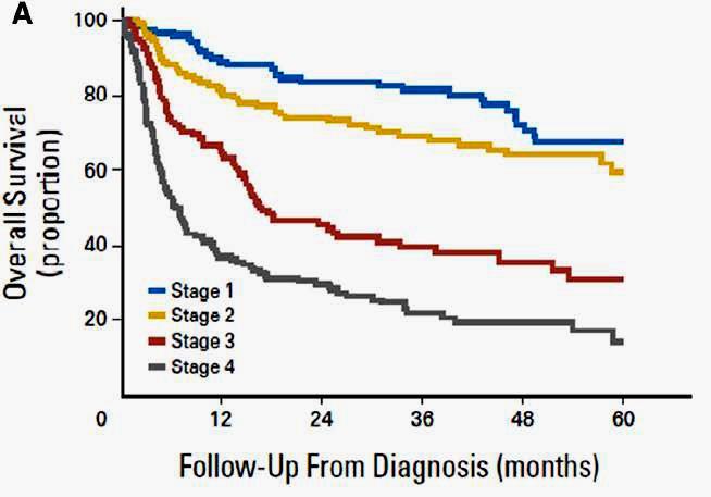Mayo staging system for risk stratifying subjects with AL-CA in which 1 point is assigned for each of the following: NT-pro-BNP 1800 pg/ml,