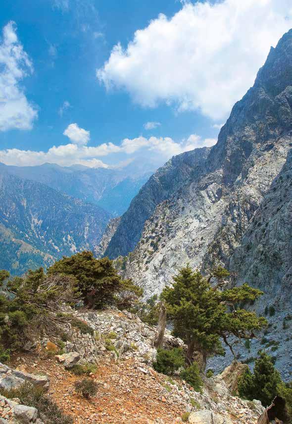 Η αρχή «ο ρυπαίνων πληρώνει» και η Οδηγία για την