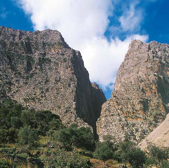 Η Οδηγία για την Περιβαλλοντική Ευθύνη και η Άγρια Ζωή Οδηγός για Δικαστές, Εισαγγελείς και υπαλλήλους Δικαστηρίων και Εισαγγελιών Περιοδικό «Νομικά Χρονικά», www.nomikaxronika.