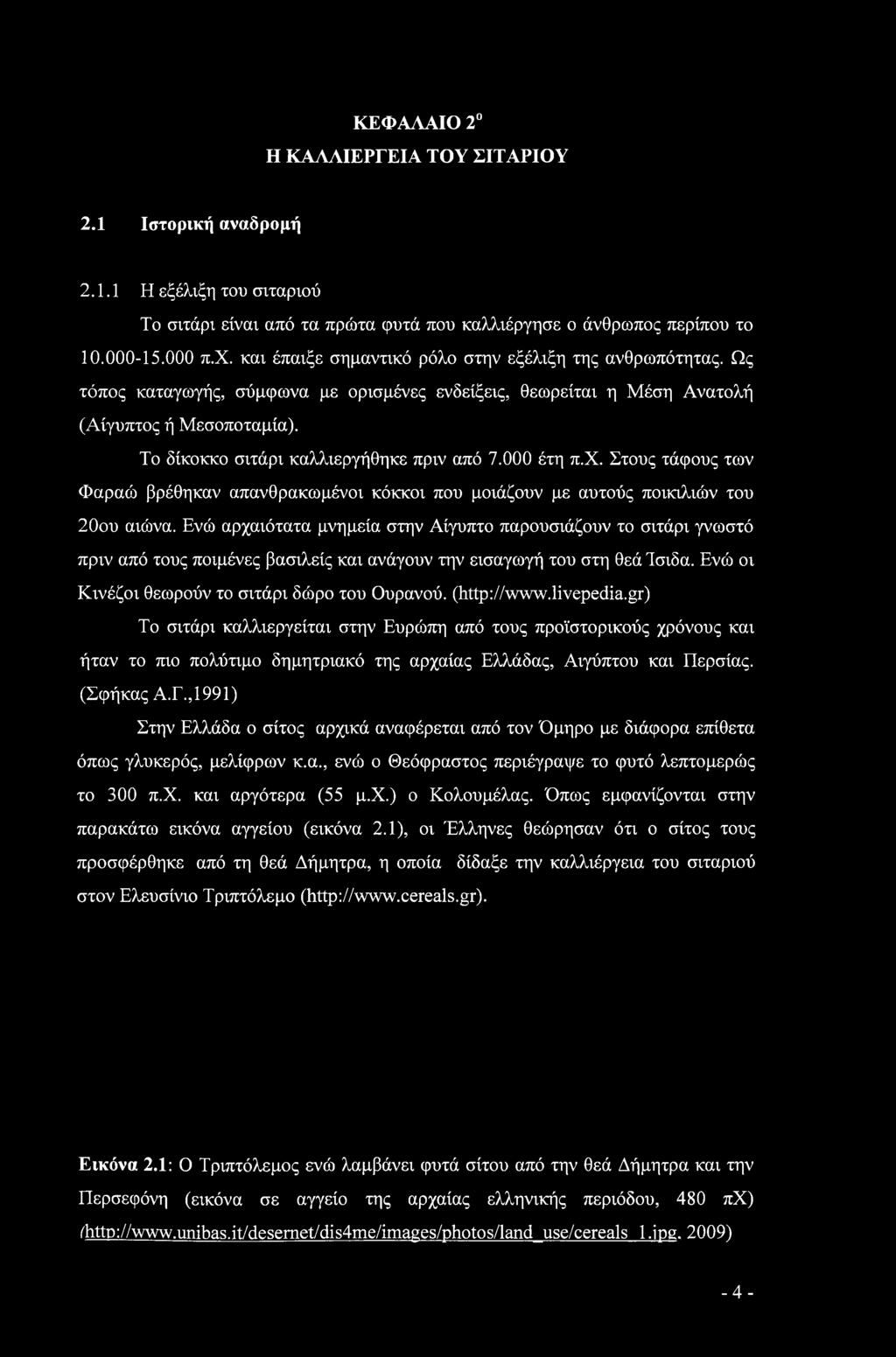 Το δίκοκκο σιτάρι καλλιεργήθηκε πριν από 7.000 έτη π.χ. Στους τάφους των Φαραώ βρέθηκαν απανθρακωμένοι κόκκοι που μοιάζουν με αυτούς ποικιλιών του 20ου αιώνα.