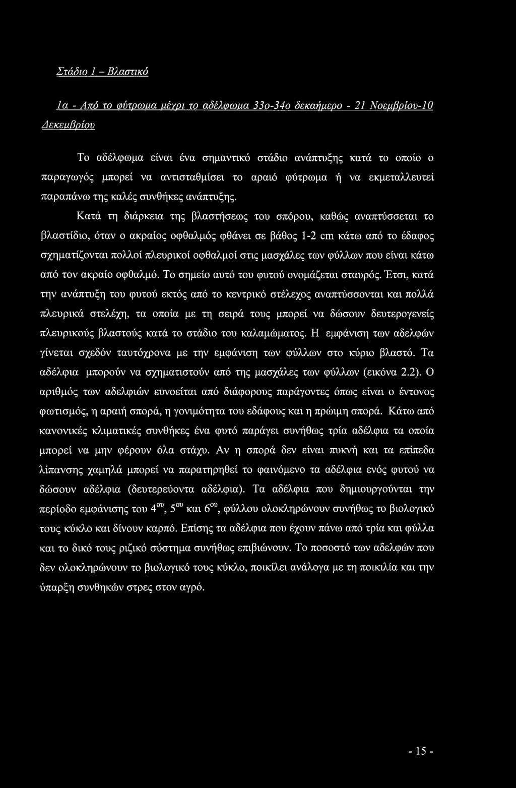 Κατά τη διάρκεια της βλαστήσεως του σπόρου, καθώς αναπτύσσεται το βλαστίδιο, όταν ο ακραίος οφθαλμός φθάνει σε βάθος 1-2 cm κάτω από το έδαφος σχηματίζονται πολλοί πλευρικοί οφθαλμοί στις μασχάλες