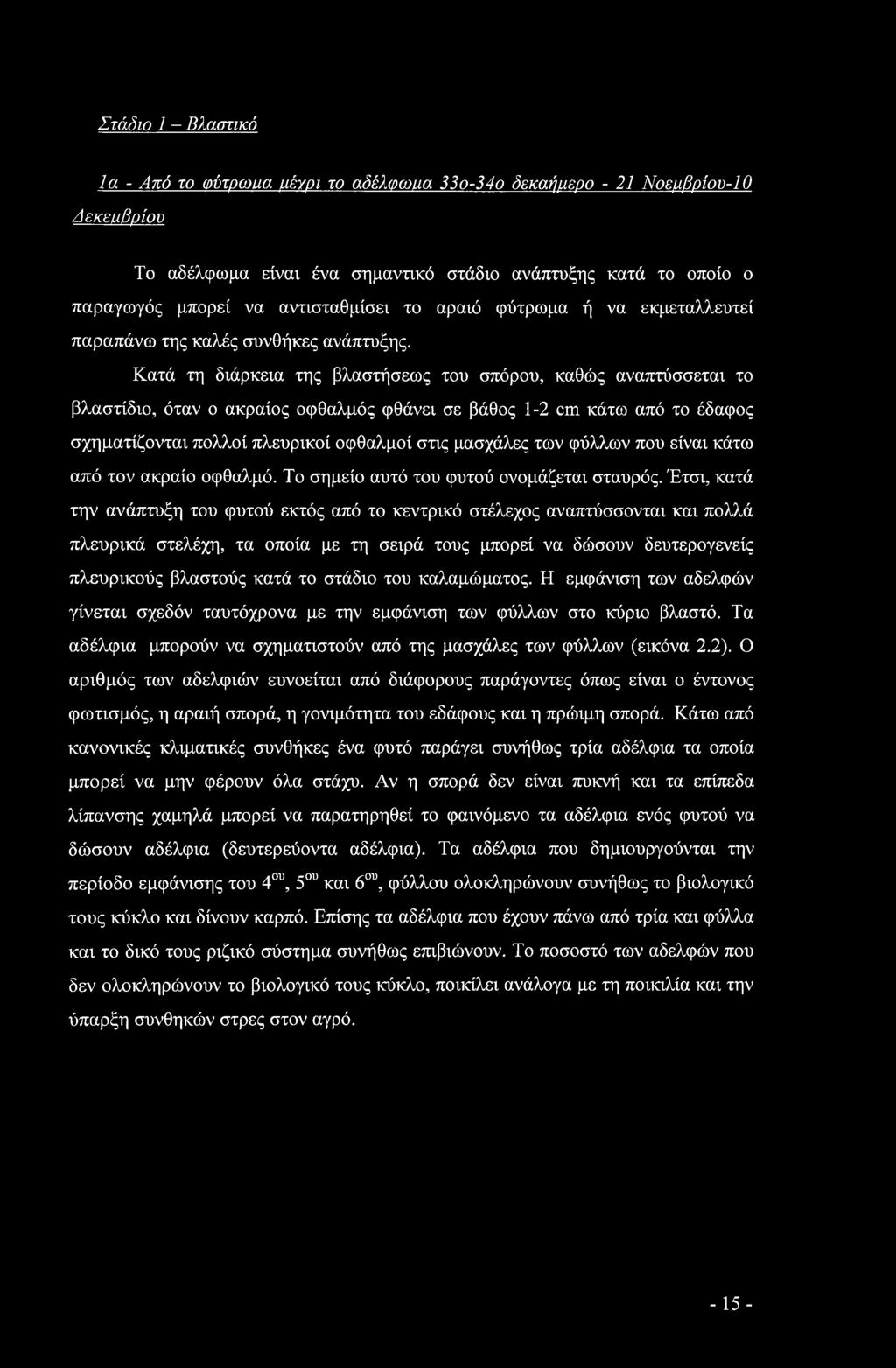 Κατά τη διάρκεια της βλαστήσεως του σπόρου, καθώς αναπτύσσεται το βλαστίδιο, όταν ο ακραίος οφθαλμός φθάνει σε βάθος 1-2 cm κάτω από το έδαφος σχηματίζονται πολλοί πλευρικοί οφθαλμοί στις μασχάλες