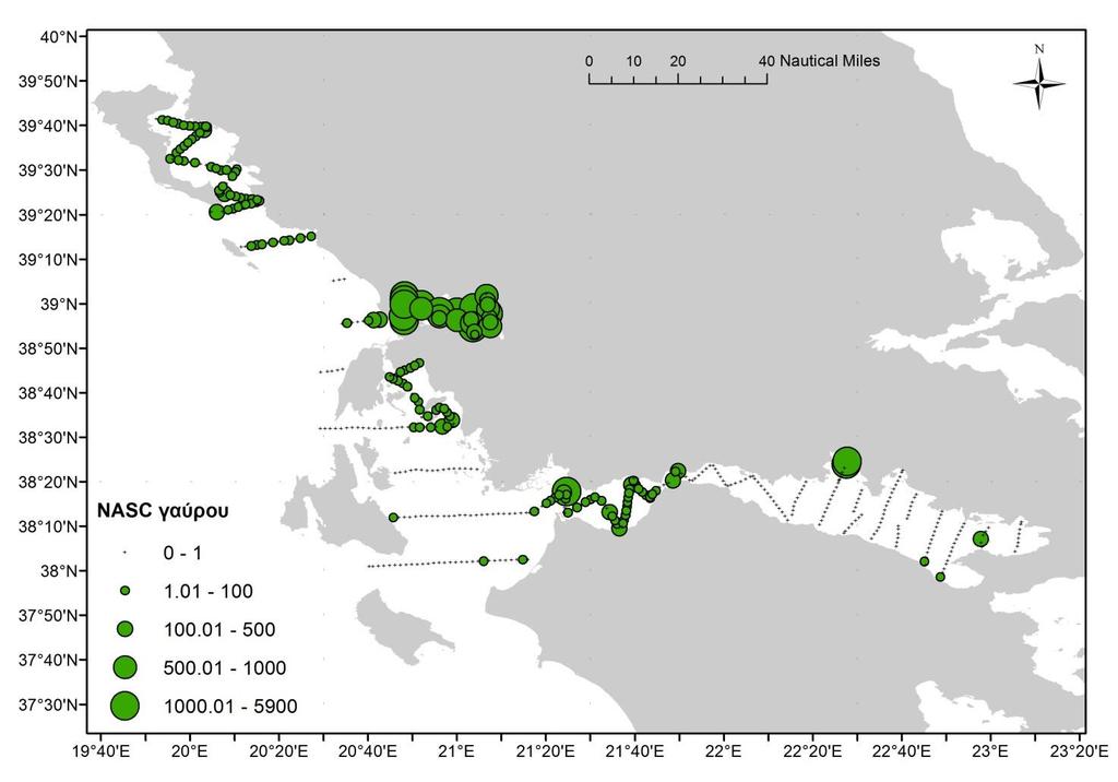 Εικόνα Α3.1β.2. Η κατανομή του συνολικού NASC (m 2 /nm 2 ) ψαριών ανά EDSU στο Ιόνιο το Νοέμβριο 2018. Εικόνα Α3.