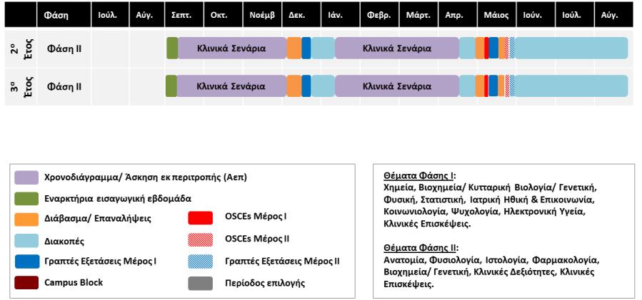 3. Φάςη ΙΙ H Φάςθ ΙI, θ οποία αποτελεί το 2 ο και 3 ο ζτοσ ςπουδϊν, περιλαμβάνει κυρίωσ μακιματα των βαςικϊν ιατρικϊν επιςτθμϊν, όπωσ: Ανατομία, Ιςτολογία, Φυςιολογία, Φαρμακολογία, Βιοχθμεία,
