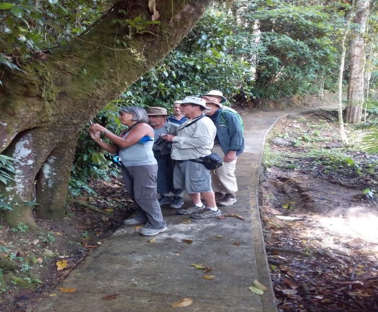 Panama s Brilliant Butterflies December 1 13,
