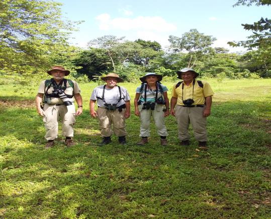 In total we saw 305 species reported for all