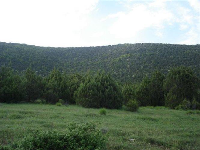Ο τύπος οικοτόπου προτεραιότητας «Ελληνικά Δάση Αρκεύθου (Juniperetum excelsae)» του Εθνικού Πάρκου Πρεσπών αντιμετωπίζουν πιέσεις και απειλές, που προέρχονται από τις αλλαγές στη διαχείριση, όπως η