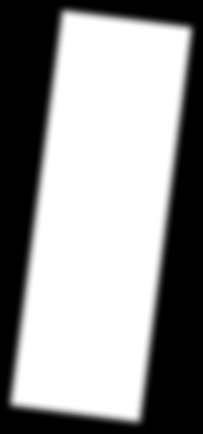 Flash 015