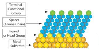 Εικόνα Γ.7: Απεικόνιση νανοσωματιδίων χρυσού σταθεροποιημένων με μερκαπτοοκτανοικό οξύ.