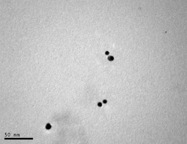 Παρουσιάζονται φωτογραφίες από ΤΕΜ των νανοσωματιδίων χρυσού (AuNP MOA) (Εικόνα Δ.4), οι οποίες παρέχουν πληροφορίες της μορφολογίας και του μεγέθους τους.