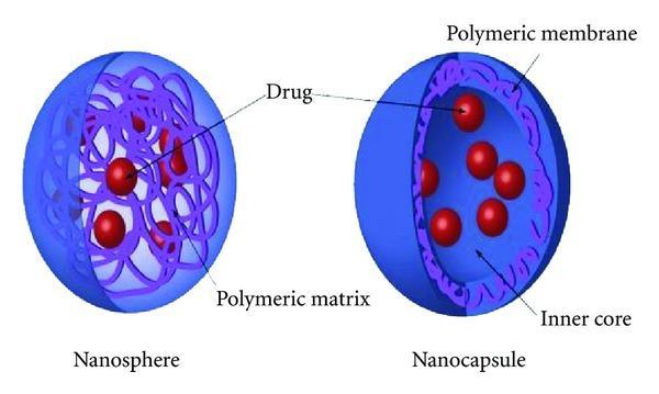 Εικόνα Α.2.11: Σχηματική απεικόνιση των νανοσφαιρών και των νανοκαψουλών [101].