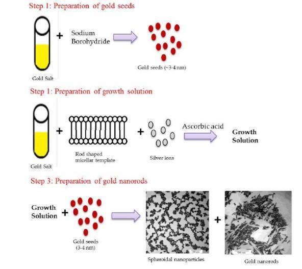 Μέθοδος ανάπτυξης σπόρων (Seeded growth method) Ενώ οι μέθοδοι Turkevich και Brust μπορούν να παράγουν σφαιρικά AuNPs, τα νανοσωματίδια χρυσού μπορούν επίσης να υπάρχουν σε ποικιλία νανοδομών όπως