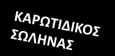Ζςω καρωτιδικό φλεβικό πλζγμα ςυνδζει
