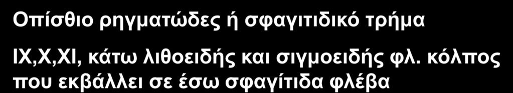 Οπίζζηο ρεγκαηώδες ή ζθαγηηηδηθό ηρήκα IX,X,XI, θάηω