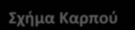 Σχήμα Καρπού Το σχήμα του καρπού μπορεί να είναι σημαντικό από εμπορικής άποψης Ένας τρόπος έκφρασης του