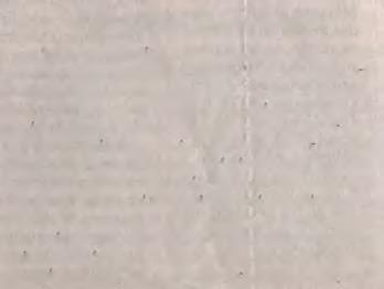 2. Ο ΙΟΣ ΤΟΥ Δ ΝΕΙΛΟΥ Μέσο:.........ΕΣΤΙΑ Σελίδα:.