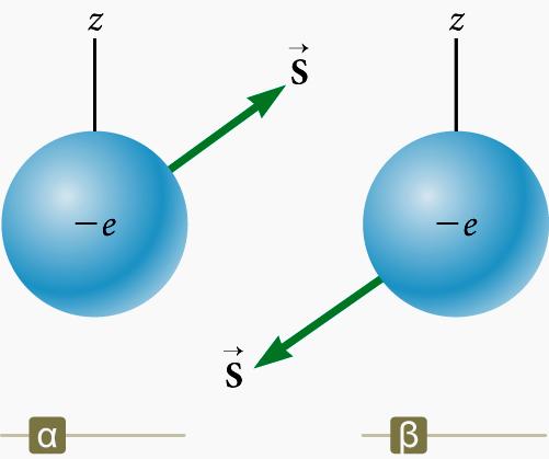 Το σπιν του ηλεκτρονίου Υπάρχουν μόνο δύο κατευθύνσεις για το σπιν του ηλεκτρονίου. Το ηλεκτρόνιο μπορεί να έχει σπιν επάνω (εικ. α) ή σπιν κάτω (εικ. β).
