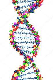 ΑΠΟΤΥΠΩΜΑΤΑ-DNA ΤΜΗΜΑ Β2