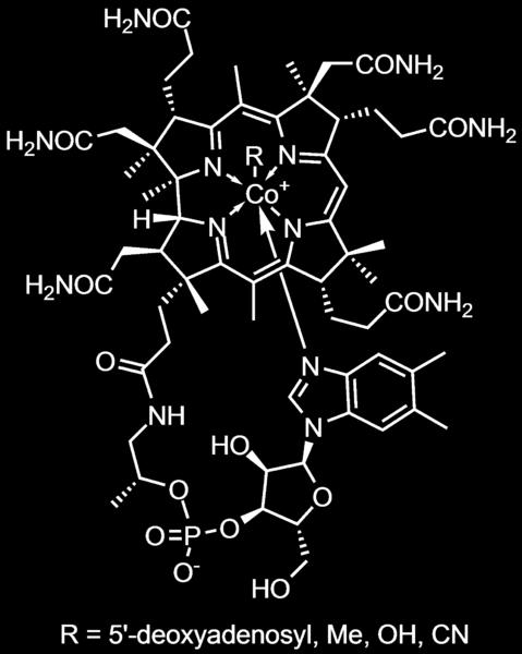 αιμοσφαιρίων, τη δημιουργία του DNA, και συμβάλλει στην υγεία