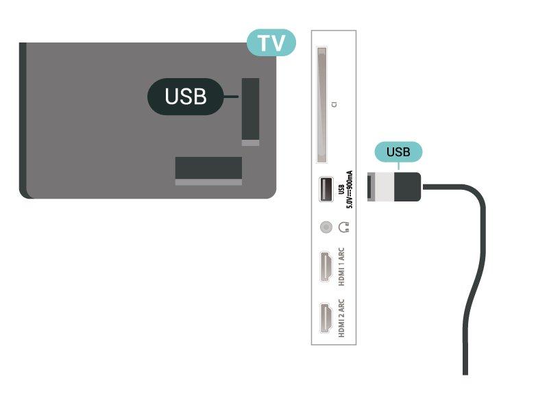 συνδεδεμένος. 1 - Συνδέστε τον σκληρό δίσκο USB σε μία από τις υποδοχές USB της τηλεόρασης. Κατά τη διάρκεια της διαμόρφωσης, μην συνδέετε άλλες συσκευές στις υπόλοιπες θύρες USB.