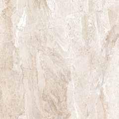Rectificado Brillo 60x60 24 x24 Torino Mocha 60x60