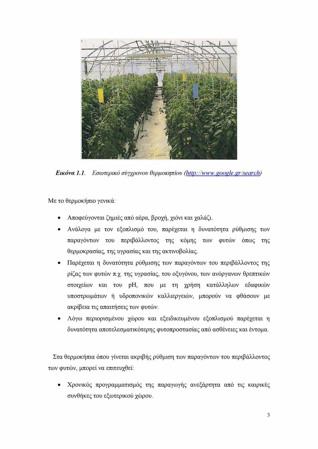 Εικόνα 1.1. Εσωτερικό σύγχρονου θερμοκηπίου (http://www.google.gr/search) Με το θερμοκήπιο γενικά: Αποφεύγονται ζημιές από αέρα, βροχή, χιόνι και χαλάζι.