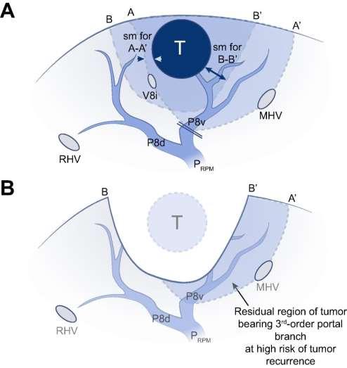 THE ROLE OF ANATOMIC Fig.