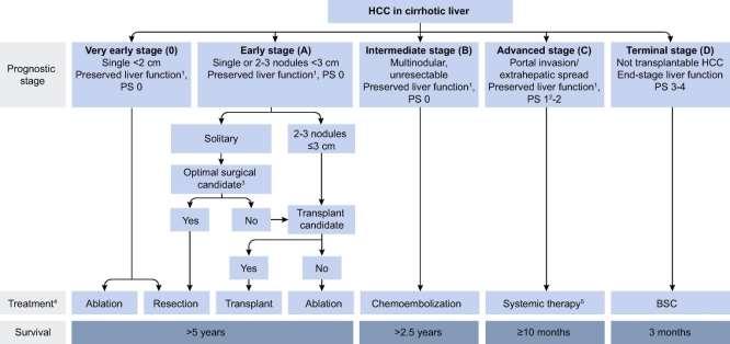 Fig. 3 MODIFIED BCLC STAGING SYSTEM AND TREATMENT STRATEGY J Hepatol