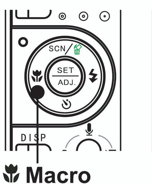 Χρήση τρόπου λειτουργίας µάκρο Η κάµερά σας διαθέτει µια λειτουργία µάκρο που επιτρέπει να εστιάσετε σε πολύ κοντινά θέµατα.