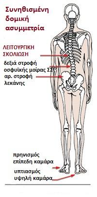 1. Τεχνικές απελευθέρωσης του μυϊκού σπασμού ή των trigger points (ισχαιμική πίεση, στεγνήξηρά- βελόνη, Θεραπεία Θέσης Απελευθέρωσης Positional Release Therapy-, Muscle Energy Technique, κ.α.) 2.