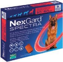 Fleas Ticks