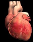 Chronic Kidney