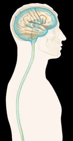 Controlling BP Stress