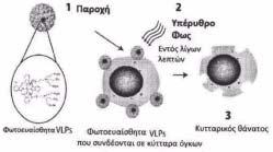 ΑΡΙΘΜΟΣ ΕΥΡ..Ε. (11):3099911 ΑΡΙΘ. ΕΛΛ. ΚΑΤΑΘΕΣΗΣ (21):20190401439 ΗΜΕΡ. ΕΛΛ. ΚΑΤΑΘΕΣΗΣ (22):13/05/2019 ΕΥΡΩΠΑΪΚΟΥ ΙΠΛΩΜΑΤΟΣ(87):3046583-13/02/2019 ΕΥΡΩΠΑΪΚΗΣ ΑΙΤΗΣΗΣ (86):14845738.